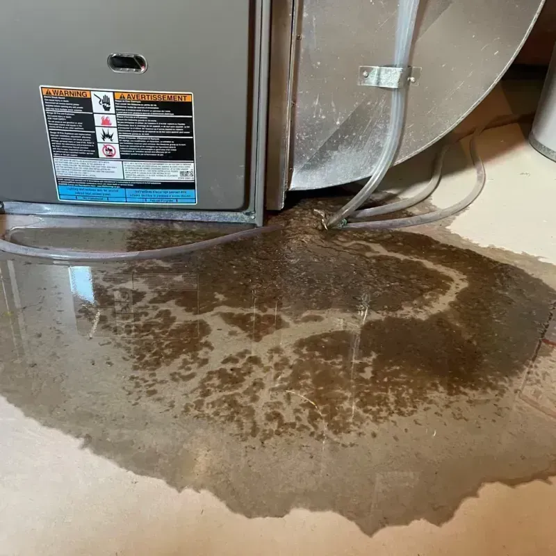 Appliance Leak Cleanup in Westchester, IL